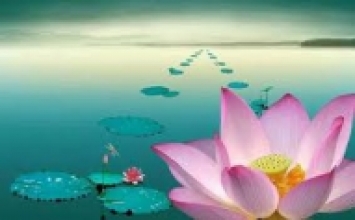 Khi cho đi, chúng ta cho đi điều gì?